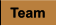 Team Team
